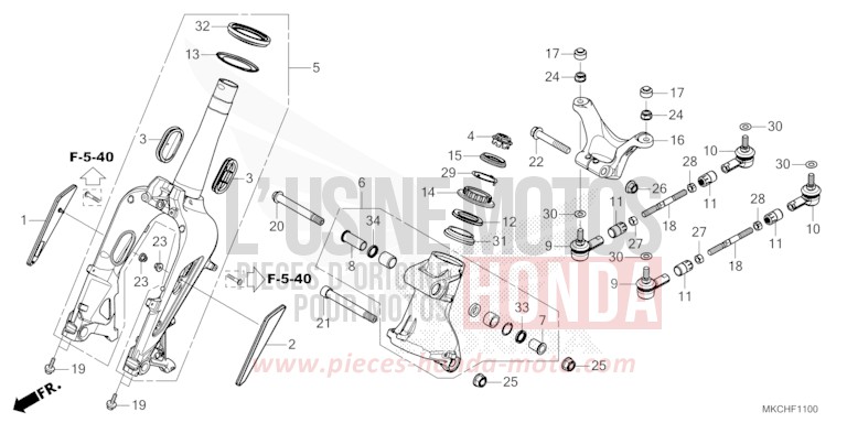 FRONT FORK for Gold Wing CANDY ARDENT RED (R367B) from 2021